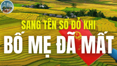 SANG TÊN SỔ ĐỎ KHI BỐ MẸ ĐÃ MẤT