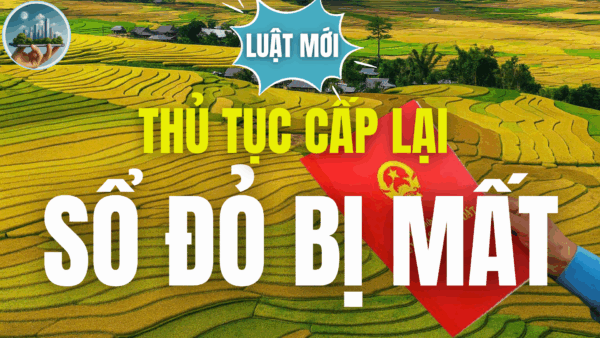 THỦ TỤC CẤP LẠI SỔ ĐỎ BỊ MẤT THEO LUẬT ĐẤT ĐAI 2025