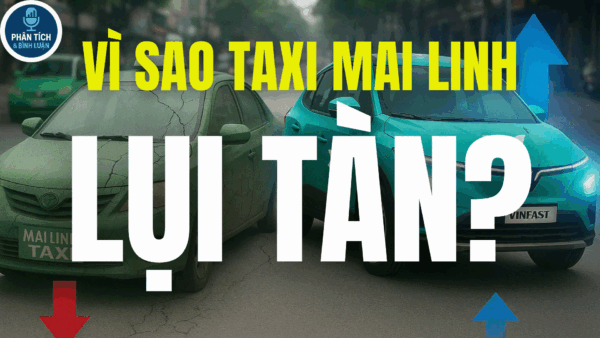 VÌ SAO TAXI MAI LINH LỤI TÀN?