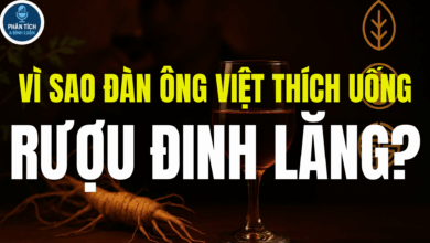 VÌ SAO ĐÀN ÔNG VIỆT THÍCH UỐNG RƯỢU ĐINH LĂNG?