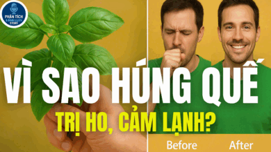 VÌ SAO HÚNG QUẾ TRỊ HO, CẢM LẠNH?
