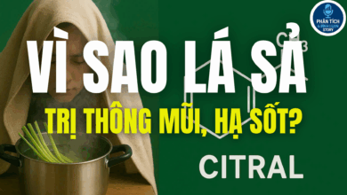 VÌ SAO LÁ SẢ TRỊ THÔNG MŨI, HẠ SỐT?