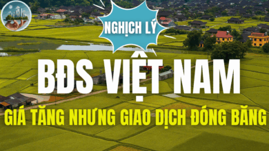 Nghịch lý bất động sản Việt Nam: Giá tăng, giao dịch đóng băng
