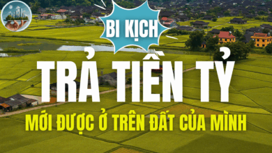 BI KỊCH - TRẢ TIỀN TỶ MỚI ĐƯỢC Ở TRÊN ĐẤT CỦA MÌNH