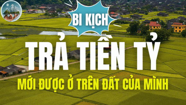 BI KỊCH - TRẢ TIỀN TỶ MỚI ĐƯỢC Ở TRÊN ĐẤT CỦA MÌNH