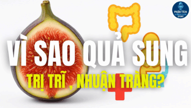 VÌ SAO QUẢ SUNG TRỊ TRĨ , NHUẬN TRÀNG?