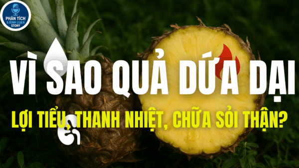 VÌ SAO QUẢ DỨA DẠI LỢI TIỂU, THANH NHIỆT, CHỮA SỎI THẬN?