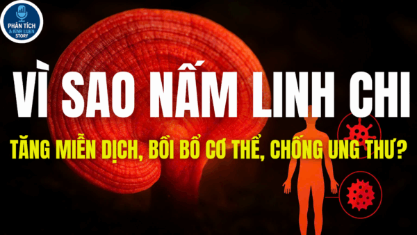 VÌ SAO NẤM LINH CHI TĂNG MIỄN DỊCH, BỒI BỔ CƠ THỂ, CHỐNG UNG THƯ?