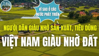 VÌ SAO Ở CÁC NƯỚC PHÁT TRIỂN NGƯỜI DÂN GIÀU NHỜ SẢN XUẤT, TIÊU DÙNG, VIỆT NAM GIÀU NHỜ ĐẤT?