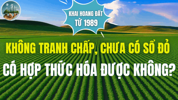KHAI HOANG ĐẤT TỪ 1989, KHÔNG TRANH CHẤP, CHƯA CÓ SỔ ĐỎ CÓ HỢP THỨC HÓA ĐƯỢC KHÔNG?