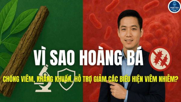 VÌ SAO HOÀNG BÁ CHỐNG VIÊM, KHÁNG KHUẨN, HỖ TRỢ GIẢM CÁC BIỂU HIỆN VIÊM NHIỄM?