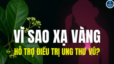 VÌ SAO XẠ VÀNG HỖ TRỢ UNG THƯ VÚ?