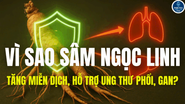 VÌ SAO SÂM NGỌC LINH TĂNG MIỄN DỊCH, HỖ TRỢ UNG THƯ PHỔI, GAN?
