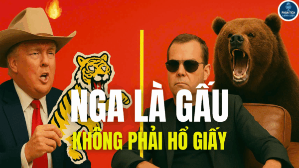 NGA LÀ GẤU KHÔNG PHẢI HỔ GIẤY