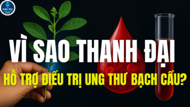 VÌ SAO THANH ĐẠI HỖ TRỢ ĐIỀU TRỊ UNG THƯ BẠCH CẦU?