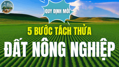 5 BƯỚC TÁCH THỬA ĐẤT NÔNG NGHIỆP THEO QUY ĐỊNH MỚI