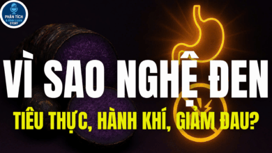 VÌ SAO NGHỆ ĐEN TIÊU THỰC, HÀNH KHÍ, GIẢM ĐAU?