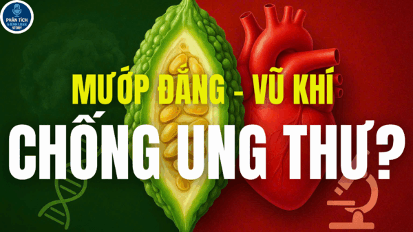Mướp đắng – từ món ăn dân dã đến tiềm năng chữa ung thư