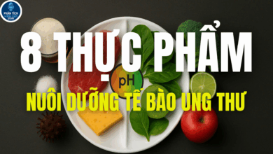 Có bao giờ bạn thắc mắc tại sao có những người ăn uống, sinh hoạt tưởng chừng giống hệt chúng ta, nhưng lại dễ mắc ung thư hơn? Phải chăng nguyên nhân không chỉ nằm ở yếu tố di truyền, mà còn liên quan chặt chẽ đến những lựa chọn tưởng chừng rất nhỏ trong khẩu phần ăn hằng ngày? Nhiều nghiên cứu chỉ ra rằng, môi trường bên trong cơ thể – đặc biệt là độ pH – có ảnh hưởng trực tiếp đến sự phát triển của tế bào ung thư. Và đây chính là lý do khiến các chuyên gia sức khỏe tự nhiên, trong đó có Barbara O’Neill, thường xuyên nhấn mạnh: “Ung thư thích môi trường axit”. Điều đáng nói là, axit không đến từ một nguồn xa lạ, mà lại xuất phát ngay từ những thực phẩm quen thuộc nhất: miếng thịt đỏ trong bữa cơm, tách cà phê mỗi sáng, hay lát bánh mì chúng ta ăn vội khi đi làm. Những thứ dường như vô hại ấy lại có thể làm giảm pH nội môi, khiến cơ thể trở thành “mảnh đất màu mỡ” cho ung thư. Trong video này, chúng ta sẽ cùng phân tích 8 loại thực phẩm có tính axit cao, tìm hiểu cơ chế ảnh hưởng của chúng, đồng thời bàn về những bước điều chỉnh đơn giản nhưng hiệu quả để lấy lại cân bằng – từ đó tăng sức đề kháng và tự nhiên phòng chống ung thư. Phần 1: Tại sao ung thư thích môi trường axit? Khi nhắc đến mối liên hệ giữa pH và ung thư, hầu hết chúng ta đều nghe đi nghe lại một khẳng định quen thuộc: “Ung thư phát triển mạnh trong môi trường axit, nhưng không thể sống trong môi trường kiềm.” Nghe qua có vẻ đơn giản, nhưng thực tế lại phức tạp hơn rất nhiều. Trước hết, về mặt sinh học, các nghiên cứu đã chứng minh rằng tế bào ung thư có khả năng “thích nghi” với điều kiện thiếu oxy, và chính sự chuyển hóa bất thường này khiến môi trường xung quanh chúng trở nên axit hơn. Quá trình phân giải glucose ở mức năng lượng thấp (hiện tượng Warburg) tạo ra nhiều acid lactic, làm giảm pH tại vùng mô nơi tế bào ung thư sinh trưởng. Môi trường này không chỉ giúp ung thư tồn tại, mà còn khiến hệ miễn dịch khó phát hiện và tiêu diệt chúng hơn. Tuy nhiên, nếu xét ở cấp độ toàn thân, cơ thể con người sở hữu một cơ chế điều chỉnh pH máu vô cùng chặt chẽ. Bất kể chúng ta ăn gì, pH máu gần như luôn dao động trong khoảng 7,35 – 7,45. Nếu vượt ra ngoài ngưỡng này, sự sống sẽ bị đe dọa ngay lập tức. Chính vì thế, nhiều nhà khoa học phản biện rằng việc ăn uống không thể “kiềm hóa máu” một cách đơn giản như nhiều tài liệu phổ thông thường tuyên bố. Đây cũng là lý do khiến chủ đề này vẫn còn gây tranh cãi gay gắt trong y học hiện đại. Dẫu vậy, có một khía cạnh cần phân biệt: chế độ ăn uống tuy không thay đổi pH máu, nhưng lại ảnh hưởng rõ rệt đến pH của nước tiểu, dịch mô, và môi trường vi mô quanh tế bào. Chính những “vi môi trường” này mới là nơi ung thư bắt đầu nhen nhóm. Khi một cơ thể liên tục phải xử lý lượng lớn thực phẩm tạo axit – thịt chế biến, đường tinh luyện, rượu bia – hệ đệm sinh học phải làm việc quá tải để giữ cân bằng máu, vô hình trung tạo nên tình trạng viêm mạn tính, suy giảm miễn dịch, và từ đó mở đường cho bệnh ung thư. Ở góc độ dinh dưỡng học thực hành, một chế độ ăn giàu rau xanh, trái cây, ngũ cốc nguyên hạt không chỉ “kiềm hóa” theo nghĩa phổ thông, mà còn cung cấp chất chống oxy hóa, vitamin, khoáng chất giúp cơ thể trung hòa gốc tự do, giảm viêm và tăng cường hệ miễn dịch. Điều này có ý nghĩa thực tiễn lớn hơn nhiều so với việc tranh cãi xem “ăn chanh có kiềm hóa máu hay không”. Quan điểm cá nhân của tôi là: thay vì nhìn nhận theo kiểu “đen – trắng” (hoặc hoàn toàn đúng, hoặc hoàn toàn sai), chúng ta nên tiếp cận theo hướng cân bằng. Không có thực phẩm nào là tuyệt đối xấu nếu được sử dụng hợp lý, nhưng khi một chế độ ăn nghiêng hẳn về phía thực phẩm axit, cái giá phải trả sẽ là môi trường nội bào dễ viêm, suy giảm sức đề kháng và gia tăng nguy cơ ung thư. Ngược lại, chủ động đưa thêm thực phẩm giàu tính kiềm và duy trì lối sống lành mạnh sẽ giúp cơ thể không chỉ chống ung thư, mà còn phòng ngừa nhiều bệnh mạn tính khác. Tóm lại, ung thư “thích” môi trường axit không phải là lời cảnh báo vô căn cứ, mà là lời nhắc nhở để chúng ta ý thức hơn trong việc lựa chọn thực phẩm hằng ngày. Điều quan trọng không phải là biến bữa ăn thành “cuộc chiến pH”, mà là xây dựng thói quen ăn uống hướng về sự cân bằng, đa dạng và nuôi dưỡng sức khỏe lâu dài. Phần 2: 8 thực phẩm tạo axit nguy hiểm 1. Thịt đỏ & thịt chế biến sẵn Không thể phủ nhận thịt đỏ là nguồn cung cấp protein, sắt và vitamin B12 dồi dào. Tuy nhiên, khi tiêu thụ quá mức – đặc biệt dưới dạng chế biến sẵn như xúc xích, thịt xông khói, giăm bông – nguy cơ ung thư lại tăng cao. Nguyên nhân chính nằm ở nitrat, nitrit và các hợp chất nitrosamine được sinh ra trong quá trình bảo quản, hun khói, nướng cháy. Những chất này đã được WHO xếp vào nhóm có khả năng gây ung thư. Điều đáng chú ý là, không phải ăn thịt đỏ là “có tội” ngay lập tức. Vấn đề nằm ở liều lượng và cách chế biến. Một miếng bít tết thỉnh thoảng sẽ khác hoàn toàn so với việc ngày nào cũng ăn xúc xích công nghiệp. Cá nhân tôi cho rằng, nếu chọn nguồn thịt sạch, nấu bằng phương pháp hấp, luộc, hầm – hạn chế chiên rán, nướng cháy – thì thịt đỏ vẫn có thể là một phần của chế độ ăn cân bằng. 2. Lúa mì lai tạo Trong vòng vài thập kỷ qua, lúa mì hiện đại đã được lai tạo để tăng năng suất, rút ngắn thời gian thu hoạch. Nhưng cái giá phải trả là hàm lượng gluten ngày càng cao, đồng thời nhiều chất dinh dưỡng bị suy giảm. Một số nghiên cứu cho rằng gluten có thể gây viêm đường ruột, rối loạn tiêu hóa, và từ đó làm cơ thể thiên về môi trường axit. Tuy nhiên, ở chiều ngược lại, không phải ai cũng nhạy cảm với gluten. Với đa số người khỏe mạnh, lúa mì nguyên cám vẫn là nguồn cung cấp chất xơ, vitamin nhóm B quan trọng. Loại bỏ hoàn toàn ngũ cốc này có thể khiến khẩu phần ăn mất cân đối. Do đó, giải pháp hợp lý không phải là “tẩy chay” lúa mì, mà là đa dạng hóa: kết hợp với yến mạch, gạo lứt, diêm mạch, kê… để giảm áp lực tiêu hóa và bổ sung thêm dưỡng chất. 3. Caffeine – cà phê, trà đặc, nước tăng lực Cà phê thường bị gắn mác “axit” vì chứa caffeine, có thể gây tăng tiết dịch vị và mất cân bằng nội môi khi lạm dụng. Uống quá nhiều dẫn đến căng thẳng, mất ngủ, làm suy yếu hệ miễn dịch – gián tiếp tạo điều kiện cho ung thư. Nhưng chúng ta cũng cần công bằng: cà phê chứa nhiều chất chống oxy hóa, polyphenol, có thể giúp giảm nguy cơ bệnh tim mạch và tiểu đường loại 2 nếu dùng đúng liều. Vấn đề chỉ xảy ra khi bạn uống 4–5 ly mỗi ngày, hoặc lệ thuộc vào nước tăng lực chứa caffeine cộng thêm đường tinh luyện. Quan điểm cá nhân: cà phê không phải kẻ thù. Uống một ly vào buổi sáng, kết hợp cùng chế độ ăn giàu rau xanh, vẫn mang lại lợi ích. Điều cốt lõi là biết điểm dừng và tránh để caffeine trở thành gánh nặng cho gan, thận, thần kinh. 4. Đường tinh luyện Trong tất cả thực phẩm tạo axit, đường tinh luyện có lẽ là “hung thủ thầm lặng” nguy hiểm nhất. Đường trắng, siro ngô giàu fructose, bánh kẹo, nước ngọt… không chỉ làm tăng độ axit, mà còn cung cấp năng lượng dư thừa, tạo môi trường lý tưởng để tế bào ung thư phát triển. Nhiều nghiên cứu cho thấy tế bào ung thư có nhu cầu tiêu thụ glucose cao hơn hẳn tế bào thường. Điều quan trọng cần phân biệt: đường trong trái cây (fructose đi kèm chất xơ, vitamin, khoáng chất) khác hoàn toàn với đường tinh luyện công nghiệp. Ăn một quả táo chưa bao giờ nguy hiểm như uống một lon nước ngọt. Giải pháp thực tiễn là thay thế đường tinh luyện bằng mật ong nguyên chất, quả chín, hoặc các chất tạo ngọt tự nhiên như stevia. Đây không chỉ là cách giảm nguy cơ ung thư, mà còn cải thiện toàn diện sức khỏe chuyển hóa. 5. Phô mai lâu năm & sản phẩm từ sữa Sữa và phô mai mang đến protein, canxi, vitamin D – yếu tố quan trọng cho xương. Nhưng khi sử dụng quá nhiều, đặc biệt là phô mai lâu năm, cơ thể có thể bị quá tải chất béo bão hòa, casein và lactose – dẫn đến viêm, tăng chất nhầy và tạo axit. Với những người không dung nạp lactose, hậu quả còn nặng nề hơn: rối loạn tiêu hóa, mệt mỏi, giảm hấp thu dưỡng chất. Tuy nhiên, sữa không hoàn toàn “có tội”. Nếu cơ thể bạn dung nạp tốt, uống một lượng vừa phải có thể vẫn ổn. Vấn đề là không biến sữa thành nguồn dinh dưỡng duy nhất. Cá nhân tôi khuyến nghị nên bổ sung thêm các loại “sữa thực vật” như hạnh nhân, yến mạch, đậu nành – vừa giảm axit, vừa mang đến chất xơ và chất béo tốt. 6. Rượu bia & đồ uống có cồn Rượu là một trong những chất được WHO xếp thẳng vào nhóm gây ung thư. Khi vào cơ thể, ethanol chuyển hóa thành acetaldehyde – hợp chất gây đột biến DNA. Không chỉ ung thư gan, rượu còn liên quan đến ung thư thực quản, vòm họng, dạ dày. Người ta hay biện minh rằng “uống rượu vang đỏ tốt cho tim mạch” nhờ chất resveratrol. Nhưng thật ra, lượng resveratrol trong một ly vang quá nhỏ để mang lại tác dụng đáng kể. Trong khi đó, nguy cơ từ cồn lại hiện hữu và nghiêm trọng hơn nhiều. Với tôi, rượu bia không bao giờ nên được xem là “thực phẩm lành mạnh”. Nếu bắt buộc phải dùng trong các dịp xã giao, hãy kiểm soát ở mức tối thiểu và ưu tiên những giải pháp khác để chăm sóc tim mạch, thay vì trông cậy vào một ly vang. 7. Thuốc lá Nếu có một thực phẩm – hay chính xác hơn, một “chất tiêu thụ” – mà khoa học đồng thuận tuyệt đối về tác hại, thì đó chính là thuốc lá. Trong khói thuốc chứa hơn 70 chất gây ung thư đã được xác định, từ formaldehyde đến benzopyrene. Chúng không chỉ tàn phá phổi mà còn lan khắp cơ thể qua máu, làm tăng nguy cơ ung thư vòm họng, tụy, bàng quang… Điều cần nhấn mạnh là: không có mức độ sử dụng thuốc lá nào là an toàn. Ngay cả “hút thụ động” cũng làm tăng nguy cơ ung thư cho người xung quanh. Nếu muốn “kiềm hóa” cơ thể một cách triệt để, bỏ thuốc lá là bước đi quan trọng và hiệu quả nhất. 8. Một số loại ngũ cốc, đậu và hạt Nghe có vẻ bất ngờ, nhưng đúng là một số loại ngũ cốc, đậu, hạt chứa các chất kháng dinh dưỡng như phytate, lectin – gây khó tiêu, tạo axit nếu ăn sai cách. Ví dụ, đậu chưa ngâm kỹ hoặc hạt chưa rang/nảy mầm có thể làm đầy bụng, sinh khí, thậm chí giảm hấp thu khoáng chất. Nhưng đừng vội gạt bỏ. Khi được xử lý đúng – ngâm, nảy mầm, lên men, nấu chín – các thực phẩm này lại trở thành nguồn cung cấp protein thực vật, chất xơ, omega-3 và nhiều chất chống oxy hóa mạnh. Quan điểm cá nhân của tôi là: thay vì “sợ hãi” chúng, hãy học cách chế biến đúng để biến những hạt nhỏ bé thành vũ khí chống ung thư tự nhiên. Nhìn lại 8 nhóm thực phẩm trên, ta thấy một điểm chung: chúng không phải là “kẻ giết người” ngay lập tức, mà là tác nhân góp phần, đặc biệt khi xuất hiện quá nhiều trong khẩu phần hàng ngày. Tính axit chỉ là một khía cạnh. Quan trọng hơn, đó là cách chúng ảnh hưởng đến viêm, miễn dịch, oxy hóa và cân bằng vi chất. Thay vì ám ảnh “ăn gì cũng sợ”, cách tiếp cận khôn ngoan là cân bằng và ý thức: hạn chế thịt chế biến sẵn, đường tinh luyện, rượu bia, thuốc lá; đồng thời tăng cường rau xanh, trái cây, ngũ cốc nguyên cám và lối sống lành mạnh. Mỗi bước nhỏ – như thay nước ngọt bằng nước lọc, thay bánh ngọt bằng trái cây – sẽ dần dần tạo nên sự khác biệt lớn cho sức khỏe. Phần 3: Cách thay đổi thực đơn để sống khỏe Khi nói đến “kiềm hóa cơ thể”, nhiều người thường nghĩ phải áp dụng những chế độ ăn uống khắt khe, loại bỏ hàng loạt thực phẩm quen thuộc. Thực tế, bạn không cần những thay đổi cực đoan như vậy. Bí quyết nằm ở việc điều chỉnh dần dần, tạo sự cân bằng trong bữa ăn hàng ngày. Thứ nhất, hãy tăng lượng thực phẩm có tính kiềm tự nhiên: rau lá xanh, trái cây tươi, củ quả nhiều màu sắc. Một đĩa salad rau xanh, một cốc sinh tố chuối – cải bó xôi, hay chỉ đơn giản là thêm chanh vào nước uống hằng ngày, đều giúp cơ thể bổ sung khoáng chất kiềm như kali, magie, canxi – những “lá chắn” chống lại tình trạng toan hóa. Thứ hai, áp dụng nguyên tắc 80/20. Điều này không có nghĩa bạn phải cắt bỏ hoàn toàn thịt, sữa hay ngũ cốc tinh chế. Thay vào đó, hãy đảm bảo 80% khẩu phần đến từ thực phẩm kiềm (rau, trái cây, hạt, ngũ cốc nguyên cám) và chỉ 20% từ nhóm tạo axit. Cách tiếp cận này vừa linh hoạt, vừa duy trì sự thoải mái tinh thần. Thứ ba, đừng quên nước. Uống đủ 1,5–2 lít nước tinh khiết mỗi ngày giúp thải độc, giữ cho hệ thống đệm pH hoạt động trơn tru. Nước lọc, trà thảo mộc hay nước ép rau củ là lựa chọn lý tưởng hơn so với nước ngọt có gas. Cuối cùng, lối sống lành mạnh cũng quan trọng không kém. Một giấc ngủ sâu, vận động thường xuyên và quản lý stress tốt sẽ giúp cơ thể tự cân bằng môi trường nội bào – điều mà không loại thực phẩm nào có thể thay thế. Phần 4: Những bước nhỏ – khác biệt lớn Nhiều người khi nghe về “ăn kiềm, tránh axit” thường cảm thấy áp lực, lo sợ rằng mình phải thay đổi toàn bộ chế độ ăn uống ngay lập tức. Nhưng trên thực tế, sức mạnh nằm ở những điều nhỏ bé, bền vững. Một vài thay đổi giản dị, duy trì hằng ngày, sẽ tạo nên sự khác biệt lớn cho sức khỏe lâu dài. Ví dụ, chỉ cần bỏ thói quen uống nước ngọt công nghiệp và thay bằng một chai nước lọc hoặc nước chanh loãng, bạn đã giảm đáng kể lượng đường tinh luyện và axit phosphoric nạp vào cơ thể. Nếu mỗi ngày làm một lựa chọn nhỏ như vậy, sau một năm, bạn đã “tiết kiệm” cho cơ thể hàng chục ký đường. Tương tự, việc giảm dần thịt chế biến sẵn như xúc xích, lạp xưởng và thay bằng thịt tươi, cá, hay thậm chí một bữa chay nhiều rau củ, sẽ giúp cơ thể ít bị gánh nặng bởi nitrosamine và chất béo bão hòa. Bạn không cần “cắt đứt” ngay, mà có thể bắt đầu từ 1–2 bữa/tuần. Một thay đổi nhỏ khác là ăn chậm – nhai kỹ. Đây không chỉ là lời khuyên cổ điển mà còn là bí quyết khoa học: nhai kỹ giúp tiết nhiều enzyme tiêu hóa, giảm sinh axit dạ dày và hỗ trợ hấp thu dưỡng chất. Cuối cùng, hãy nhớ: cơ thể không cần sự hoàn hảo tuyệt đối, mà cần tính nhất quán. Khi những thói quen nhỏ trở thành một phần đời sống, bạn sẽ ngạc nhiên trước sự thay đổi về năng lượng, sức đề kháng, và khả năng tự nhiên phòng chống ung thư. Cuộc chiến chống lại ung thư không phải chỉ bắt đầu khi chúng ta cầm kết quả xét nghiệm trong tay, cũng không chỉ diễn ra trong phòng bệnh với thuốc men và máy móc. Thực tế, nó âm thầm được khởi động mỗi ngày – ngay trên bàn ăn, trong từng ngụm nước, từng thói quen nhỏ mà ta lựa chọn. Điều quan trọng không phải là sống trong nỗi lo sợ “ăn gì cũng có thể gây ung thư”. Sợ hãi không bao giờ giúp chúng ta khỏe mạnh hơn. Thay vào đó, hãy chủ động kiến tạo một môi trường cơ thể cân bằng, kiềm hóa và tràn đầy sức sống. Một đĩa rau xanh nhiều hơn, một ly nước ngọt ít đi, một giấc ngủ sâu hơn – đó chính là những “liều thuốc” rẻ nhất nhưng mạnh mẽ nhất mà ai cũng có thể tự trao cho mình. Bạn có thể nhìn sức khỏe như một khoản tiết kiệm dài hạn. Mỗi lựa chọn tốt hôm nay là một đồng vốn đầu tư cho tương lai. Và ngược lại, mỗi lần buông xuôi trước thức ăn nhanh, thuốc lá, rượu bia… là bạn đang “rút vốn” khỏi tài khoản sức khỏe của chính mình. Cuối cùng, câu hỏi vẫn là: bạn sẽ nuôi dưỡng tế bào khỏe mạnh, hay tiếp tay cho tế bào ung thư? Quyết định ấy nằm trọn vẹn trong những lựa chọn hằng ngày của bạn. Nếu bạn thấy video này hữu ích, đừng quên nhấn Like để ủng hộ nhóm mình lan tỏa thông tin tích cực đến nhiều người hơn. Hãy đăng ký kênh và bật chuông thông báo 🔔 để không bỏ lỡ những phân tích chuyên sâu tiếp theo về dinh dưỡng, lối sống và phòng chống bệnh tật tự nhiên. Ngoài ra, mình rất muốn nghe quan điểm và trải nghiệm của bạn: trong 8 loại thực phẩm tạo axit vừa rồi, bạn thường xuyên sử dụng loại nào nhất, và bạn đã bắt đầu thay đổi thói quen ăn uống ra sao? Hãy chia sẻ ở phần bình luận để chúng ta cùng học hỏi lẫn nhau và tạo nên một cộng đồng sống khỏe, sống chủ động. Nhớ rằng: kiến thức chỉ thực sự có giá trị khi được áp dụng. Vì vậy, ngay hôm nay, hãy chọn cho mình một bước nhỏ – có thể là giảm bớt đường tinh luyện, hoặc thêm một bữa rau xanh – và kiên trì thực hiện. Bạn sẽ bất ngờ trước sự thay đổi tích cực mà cơ thể mang lại cho chính bạn.