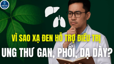 VÌ SAO XẠ ĐEN HỖ TRỢ ĐIỀU TRỊ UNG THƯ GAN, PHỔI, DẠ DÀY?