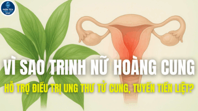 VÌ SAO TRINH NỮ HOÀNG CUNG HỖ TRỢ ĐIỀU TRỊ UNG THƯ TỬ CUNG, TUYẾN TIỀN LIỆT?