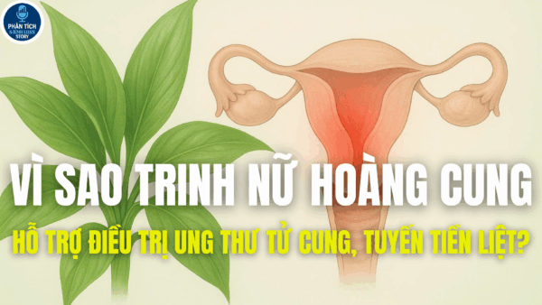 VÌ SAO TRINH NỮ HOÀNG CUNG HỖ TRỢ ĐIỀU TRỊ UNG THƯ TỬ CUNG, TUYẾN TIỀN LIỆT?