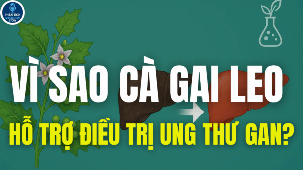 VÌ SAO CÀ GAI LEO HỖ TRỢ ĐIỀU TRỊ UNG THƯ GAN?