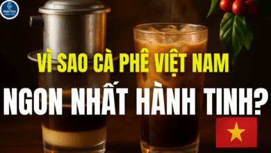 Vì sao cà phê Việt Nam được mệnh danh là “cà phê ngon nhất hành tinh”?