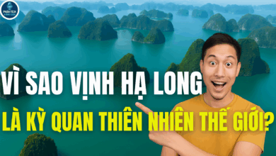 Vì sao Vịnh Hạ Long là kỳ quan thiên nhiên thế giới?