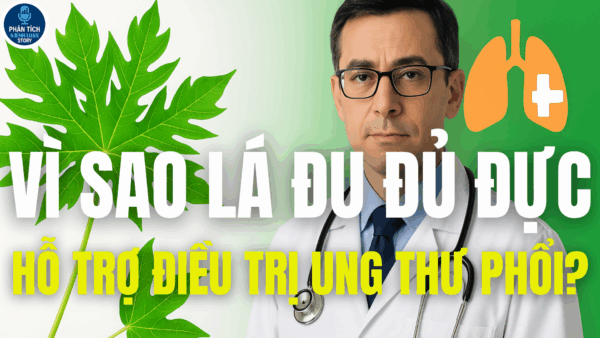 VÌ SAO LÁ ĐU ĐỦ ĐỰC HỖ TRỢ ĐIỀU TRỊ UNG THƯ PHỔI?