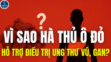 VÌ SAO HÀ THỦ Ô ĐỎ HỖ TRỢ ĐIỀU TRỊ UNG THƯ VÚ, GAN?