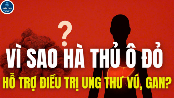 VÌ SAO HÀ THỦ Ô ĐỎ HỖ TRỢ ĐIỀU TRỊ UNG THƯ VÚ, GAN?