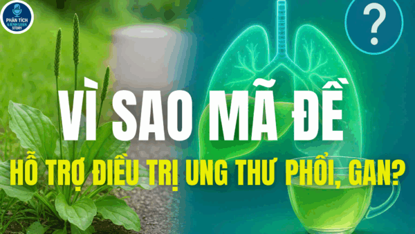 VÌ SAO MÃ ĐỀ TIÊU VIÊM, GIẢI ĐỘC, HỖ TRỢ ĐIỀU TRỊ UNG THƯ PHỔI, GAN?
