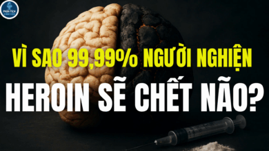 VÌ SAO 99,99% NGƯỜI NGHIỆN HEROIN SẼ BỊ CHẾT NÃO?