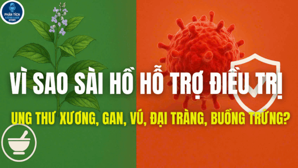 VÌ SAO SÀI HỒ HỖ TRỢ ĐIỀU TRỊ UNG THƯ XƯƠNG, GAN, VÚ, ĐẠI TRÀNG, BUỒNG TRỨNG?