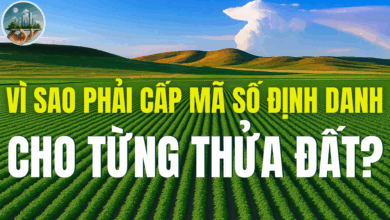 VÌ SAO PHẢI CẤP MÃ SỐ ĐỊNH DANH CHO TỪNG THỬA ĐẤT?