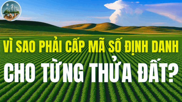 VÌ SAO PHẢI CẤP MÃ SỐ ĐỊNH DANH CHO TỪNG THỬA ĐẤT?