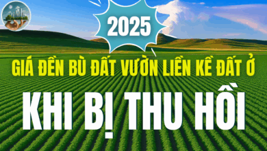 Giá đền bù đất vườn liền kề đất ở khi bị thu hồi năm 2025