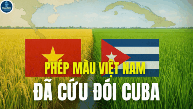 PHÉP MÀU VIỆT NAM ĐÃ CỨU ĐÓI CUBA