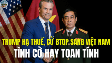 TRUMP HẠ THUẾ, CỬ BTQP SANG VIỆT NAM, TÌNH CỜ HAY TOAN TÍNH