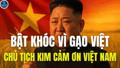 BẬT KHÓC VÌ GẠO VIỆT: CHỦ TỊCH KIM CẢM ƠN VIỆT NAM