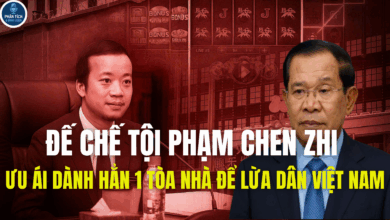 ĐẾ CHẾ TỘI PHẠM CHEN ZHI , ƯU ÁI DÀNH HẲN 1 TÒA NHÀ ĐỂ LỪA DÂN VIỆT NAM