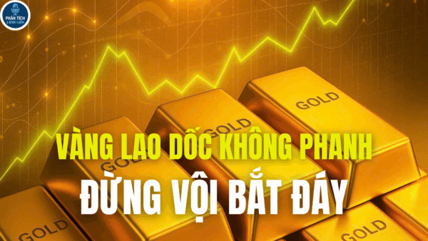VÀNG LAO DỐC KHÔNG PHANH, ĐỪNG VỘI BẮT ĐÁY