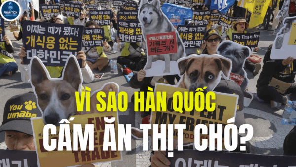 VÌ SAO HÀN QUỐC CẤM ĂN THỊT CHÓ?