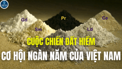 CUỘC CHIẾN ĐẤT HIẾM, CƠ HỘI NGÀN NĂM CỦA VIỆT NAM
