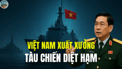 VIỆT NAM XUẤT XƯỞNG TÀU CHIẾN DIỆT HẠM