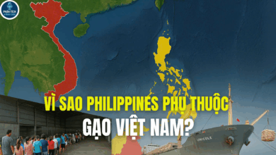 VÌ SAO PHILIPPINES PHỤ THUỘC GẠO VIỆT NAM?